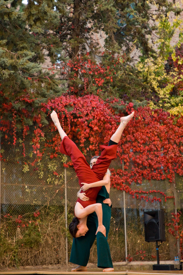 gbravo_cromo_2017_441