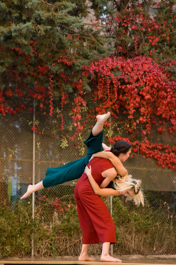 gbravo_cromo_2017_442