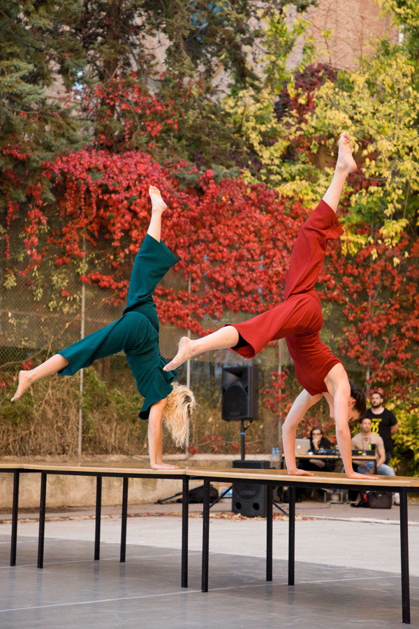 gbravo_cromo_2017_443