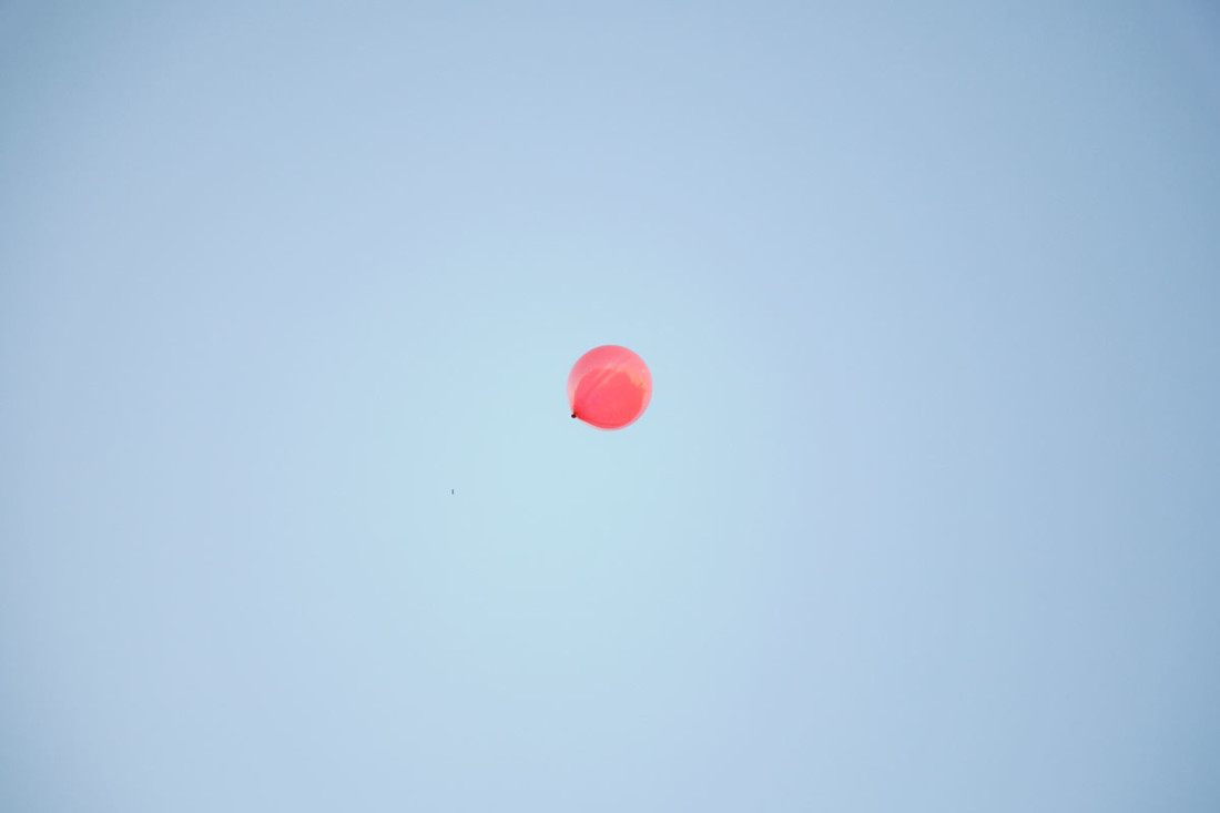 gbravo_cromo_2017_492