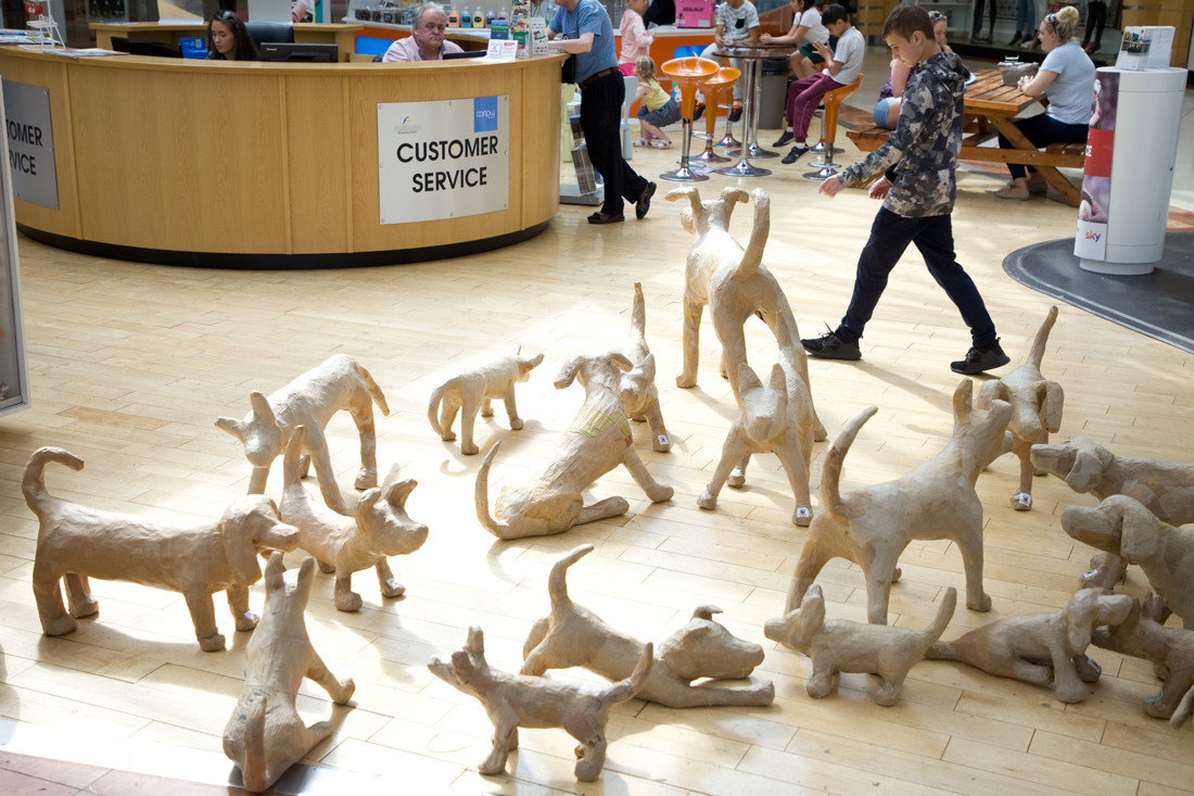 Carlow Arts Festival 007