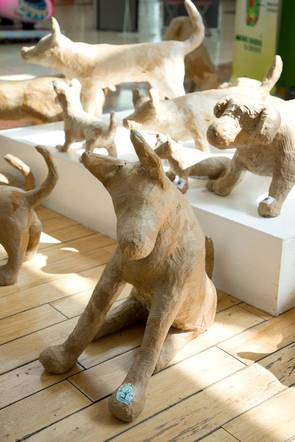 Carlow Arts Festival 009