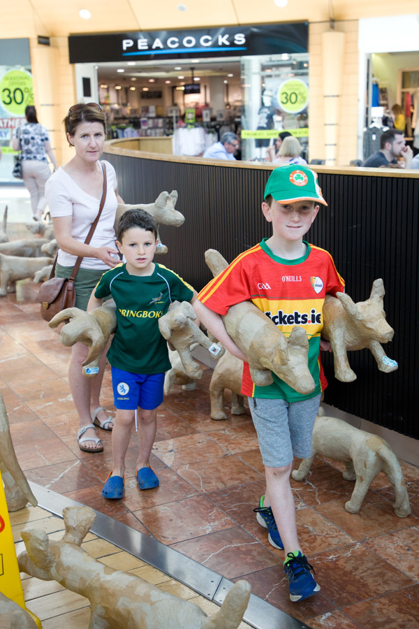 Carlow Arts Festival 044