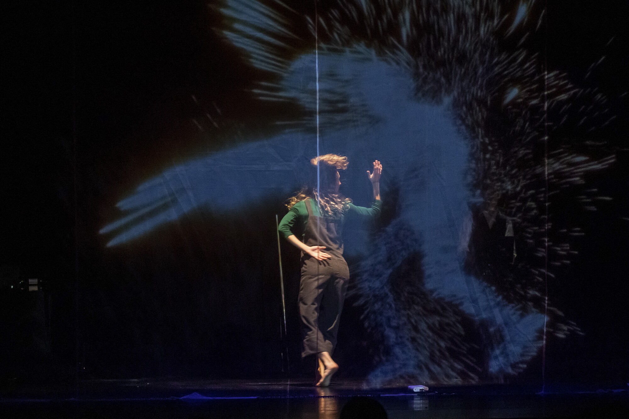 GORKABRAVO_BAGARA_INTERAKZIOA_112