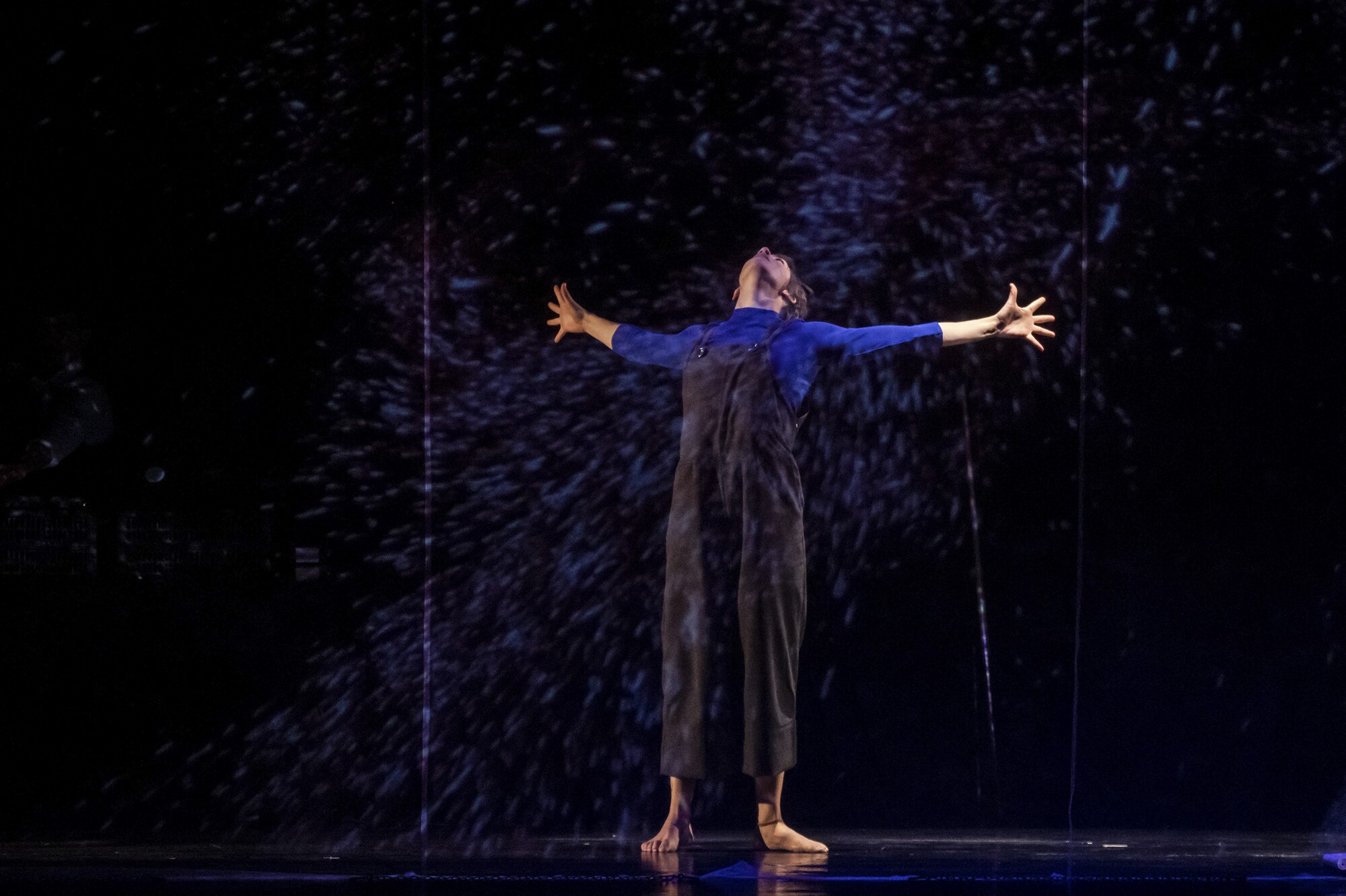 GORKABRAVO_BAGARA_INTERAKZIOA_53